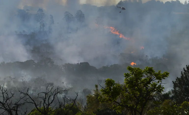  governos federal Três bases para  fiscalização incêndios florestais na Amazônia.