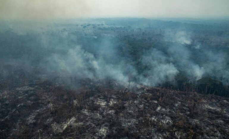  O Brasil está pegando fogo