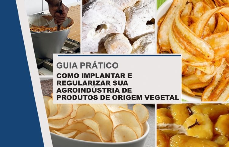 AMM vai lançar nesta quarta-feira guia com orientações para fortalecer agroindústrias de produtos de origem vegetal
