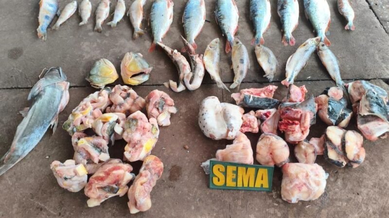 Sema e PM apreendem pescados irregulares em estabelecimento às margens do Rio Cuiabá