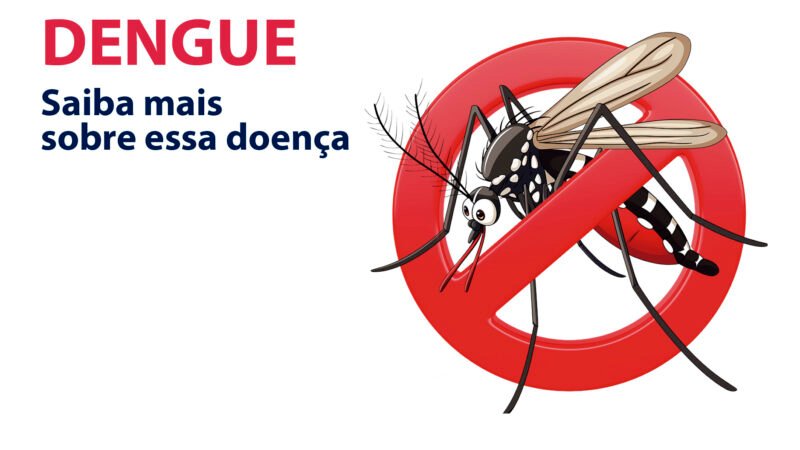 A dengue faz parte de um grupo de doenças denominadas
